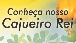 BANNER-CAJUEIRO.jpg