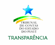 Acesso ao Portal da Transparencia TCE-PI